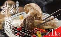 長野市収穫　松茸　約1kg（8～15本）&nbsp;|&nbsp;&nbsp;まつたけ&nbsp;きのこ&nbsp;キノコ&nbsp;秋の味覚&nbsp;食材&nbsp;人気&nbsp;おすすめ&nbsp;&nbsp;送料無料&nbsp;&nbsp;長野県&nbsp;長野市&nbsp;信州&nbsp;信濃&nbsp;ふるさと納税