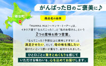 マンマミーア！トレイルフード燻製スパイシージビエカレー