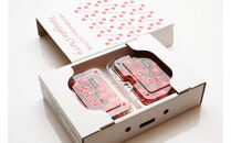 2026年度発送【定期便４回】&nbsp;幸せを運ぶ人気フルーツ６種便