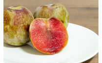 2026年度発送【定期便４回】&nbsp;幸せを運ぶ人気フルーツ６種便