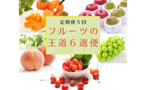 2026年度発送【定期便５回】&nbsp;フルーツの王道６選便