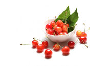 2026年度発送【定期便５回】&nbsp;フルーツの王道６選便