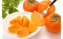 2026年度発送【定期便５回】&nbsp;フルーツの王道６選便