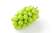 2026年度発送&nbsp;【定期便５回】&nbsp;美味しさランキング☆ベスト５