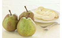 【通年定期便9回】富んでバラエティ中山便