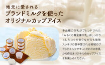磯沼ミルクファーム　カップアイス10個セット（2種各5個）