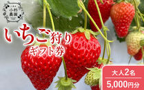 小杉農園　いちご狩りギフト券5,000円分（大人2名）