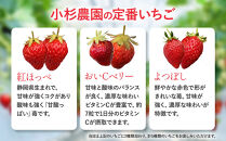 小杉農園　いちご狩りギフト券5,000円分（大人2名）