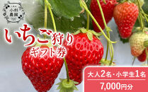 小杉農園　いちご狩りギフト券7,000円分（大人2名、小学生1名）