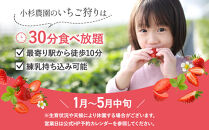 小杉農園　いちご狩りギフト券7,000円分（大人2名、小学生1名）
