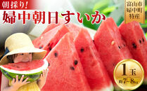【先行予約】&nbsp;朝採り！&nbsp;富山市婦中町特産「朝日すいか」１玉(約７～８kg)【2026年7月頃〜8月中旬頃まで順次発送】&nbsp;&nbsp;|&nbsp;数量限定&nbsp;産地直送&nbsp;大玉&nbsp;甘い&nbsp;すいか&nbsp;フルーツ&nbsp;お中元&nbsp;夏&nbsp;シャリ感