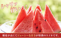 【先行予約】&nbsp;朝採り！&nbsp;富山市婦中町特産「朝日すいか」１玉(約７～８kg)【2026年7月頃〜8月中旬頃まで順次発送】&nbsp;&nbsp;|&nbsp;数量限定&nbsp;産地直送&nbsp;大玉&nbsp;甘い&nbsp;すいか&nbsp;フルーツ&nbsp;お中元&nbsp;夏&nbsp;シャリ感