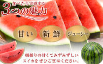 【先行予約】&nbsp;朝採り！&nbsp;富山市婦中町特産「朝日すいか」１玉(約７～８kg)【2026年7月頃〜8月中旬頃まで順次発送】&nbsp;&nbsp;|&nbsp;数量限定&nbsp;産地直送&nbsp;大玉&nbsp;甘い&nbsp;すいか&nbsp;フルーツ&nbsp;お中元&nbsp;夏&nbsp;シャリ感