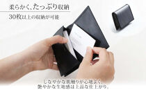 hide&nbsp;k&nbsp;1896&nbsp;ソフトカーボン&nbsp;カードケース&nbsp;タイプb&nbsp;ブラック&nbsp;card&nbsp;case&nbsp;b&nbsp;11.5cm×7.5cm×2cm&nbsp;メンズ&nbsp;名刺入れ&nbsp;名刺ケース&nbsp;めいし&nbsp;ビジネス&nbsp;カード入れ&nbsp;カウレザー&nbsp;本革&nbsp;春日秀之&nbsp;長野県&nbsp;長野市