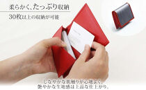 hide&nbsp;k&nbsp;1896&nbsp;ソフトカーボン&nbsp;カードケース&nbsp;タイプb【レッド】card&nbsp;case&nbsp;b&nbsp;11.5cm×7.5cm×2cm&nbsp;メンズ&nbsp;名刺入れ&nbsp;名刺ケース&nbsp;めいし&nbsp;ビジネス&nbsp;カード入れ&nbsp;カウレザー&nbsp;本革&nbsp;春日秀之&nbsp;長野県長野市
