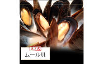 シーフードミックス&nbsp;パエリア&nbsp;4～5人前&nbsp;セット&nbsp;赤えび&nbsp;あさり&nbsp;ムール貝&nbsp;いか&nbsp;海鮮セット&nbsp;アヒージョ