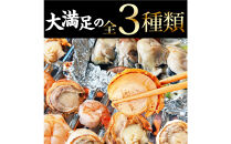 シーフードミックス&nbsp;大粒&nbsp;むき身&nbsp;3種40品&nbsp;帆立&nbsp;むきエビ&nbsp;牡蠣&nbsp;海鮮&nbsp;バーベキュー&nbsp;セット&nbsp;BBQセット&nbsp;海鮮セット&nbsp;殻なし
