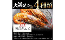 海鮮&nbsp;バーベキュー&nbsp;セット&nbsp;帆立&nbsp;いか&nbsp;エビ&nbsp;牡蠣&nbsp;4種40品&nbsp;BBQセット&nbsp;海鮮セット