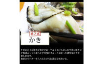 海鮮&nbsp;バーベキュー&nbsp;セット&nbsp;帆立&nbsp;いか&nbsp;エビ&nbsp;牡蠣&nbsp;4種40品&nbsp;BBQセット&nbsp;海鮮セット