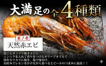 海鮮&nbsp;バーベキュー&nbsp;セット&nbsp;帆立&nbsp;いか&nbsp;エビ&nbsp;牡蠣&nbsp;4種40品&nbsp;BBQセット&nbsp;海鮮セット|&nbsp;父の日