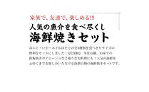 海鮮&nbsp;バーベキュー&nbsp;セット&nbsp;3種30品&nbsp;海鮮セット&nbsp;BBQセット&nbsp;帆立&nbsp;エビ&nbsp;イカ