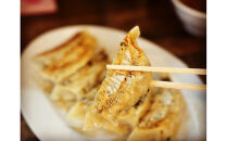 肉餃子&nbsp;45個【配送不可：沖縄県・離島】