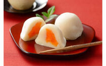 あんぽ干柿大福　１８個