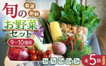 【全5回定期便】野菜セット&nbsp;旬の野菜&nbsp;（9~10種類)