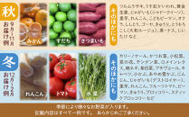 【全5回定期便】野菜セット&nbsp;旬の野菜&nbsp;（9~10種類)