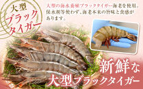 大判海老フライ　約600g（5尾×2P）