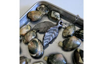 鉄分がとれる南部鉄のリーフ_1330803132_00