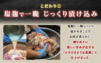 【お試しに！】もん次郎の鳥刺し　100g