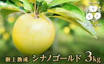 【10月中旬発送&nbsp;先行予約】樹上熟成　シナノゴールド&nbsp;3kg