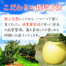 【10月中旬発送&nbsp;先行予約】樹上熟成　シナノゴールド&nbsp;3kg