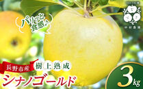 フルーツファーム中村農園　【10月中旬発送&nbsp;先行予約】樹上熟成　シナノゴールド&nbsp;3kg&nbsp;|&nbsp;&nbsp;りんご&nbsp;シナノゴールド&nbsp;林檎&nbsp;人気&nbsp;おすすめ&nbsp;果物&nbsp;フルーツ&nbsp;黄色いりんご&nbsp;贈答用&nbsp;ギフト&nbsp;送料無料&nbsp;長野県&nbsp;長野市&nbsp;信州&nbsp;信濃&nbsp;ふるさと納税