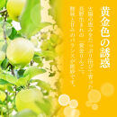 【10月中旬発送&nbsp;先行予約】樹上熟成　シナノゴールド&nbsp;5kg