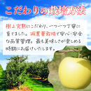 【10月中旬発送&nbsp;先行予約】樹上熟成　シナノゴールド&nbsp;5kg