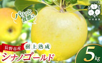 フルーツファーム中村農園　【10月中旬発送&nbsp;先行予約】樹上熟成　シナノゴールド&nbsp;5kg&nbsp;|&nbsp;&nbsp;りんご&nbsp;シナノゴールド&nbsp;林檎&nbsp;人気&nbsp;おすすめ&nbsp;果物&nbsp;フルーツ&nbsp;黄色いりんご&nbsp;贈答用&nbsp;ギフト&nbsp;送料無料&nbsp;長野県&nbsp;長野市&nbsp;信州&nbsp;信濃&nbsp;ふるさと納税