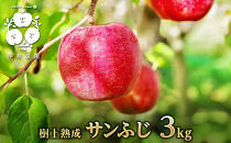 【11月下旬発送&nbsp;先行予約】樹上熟成　サンふじ&nbsp;3kg