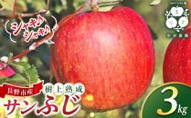 フルーツファーム中村農園　【11月下旬発送&nbsp;先行予約】樹上熟成　サンふじ&nbsp;3kg&nbsp;|&nbsp;&nbsp;りんご&nbsp;サンふじ&nbsp;糖度林檎&nbsp;人気&nbsp;おすすめ&nbsp;果物&nbsp;フルーツ&nbsp;大玉&nbsp;贈答用&nbsp;ギフト&nbsp;送料無料&nbsp;長野県&nbsp;長野市&nbsp;信州&nbsp;信濃&nbsp;ふるさと納税