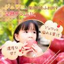 【11月下旬発送&nbsp;先行予約】樹上熟成　サンふじ&nbsp;5kg