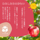【11月下旬発送&nbsp;先行予約】樹上熟成　サンふじ&nbsp;5kg
