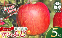 フルーツファーム中村農園　【11月下旬発送&nbsp;先行予約】樹上熟成　サンふじ&nbsp;5kg&nbsp;|&nbsp;&nbsp;りんご&nbsp;サンふじ&nbsp;糖度&nbsp;酸味&nbsp;林檎&nbsp;人気&nbsp;おすすめ&nbsp;果物&nbsp;フルーツ&nbsp;大玉&nbsp;贈答用&nbsp;ギフト&nbsp;送料無料&nbsp;長野県&nbsp;長野市&nbsp;信州&nbsp;信濃&nbsp;ふるさと納税
