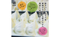 【&nbsp;ぎょうざの横濱黄河&nbsp;】野菜たっぷり！冷凍生餃子&nbsp;プレーン100個