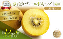 さぬきゴールドキウイ「黄様」化粧箱入り