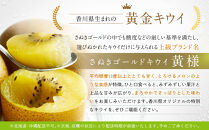 さぬきゴールドキウイ「黄様」化粧箱入り