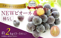 「さぬき讃フルーツ認定」NEWピオーネ約2kg