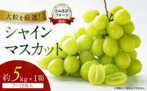 「さぬき讃フルーツ認定」シャインマスカット約5kg