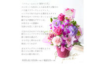 【母の日】パフュームピンクMサイズ＜お届け日：2026年5/8～5/10&nbsp;当店おまかせ&nbsp;＞母の日カード付き【&nbsp;母の日&nbsp;ギフト&nbsp;アレンジ&nbsp;花&nbsp;贈り物&nbsp;大阪府&nbsp;門真市&nbsp;】