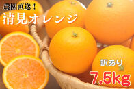 清見オレンジ&nbsp;約7.5kg&nbsp;大小混合&nbsp;《ご家庭用》&nbsp;ちょっと訳あり&nbsp;和歌山県産&nbsp;農園直送&nbsp;まごころ産直みかん&nbsp;【北海道・沖縄県・一部離島&nbsp;配送不可】&nbsp;［Mg68］